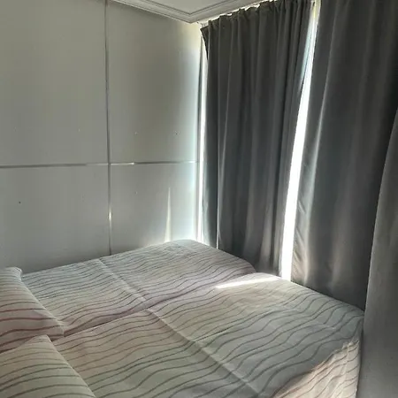 Estudio Palmeras En Planta 15